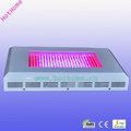 300W LED Grow Lighting, with 10,080lm Lumens, 100% Red Color,630;red:blue=8:1; Replacing 800-1000W MH/HPS Light